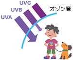 図1：紫外線とは